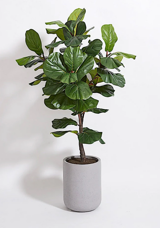 CG HUNTER Artificial Fiddle Leaf Fig Tree with Artisan Planter